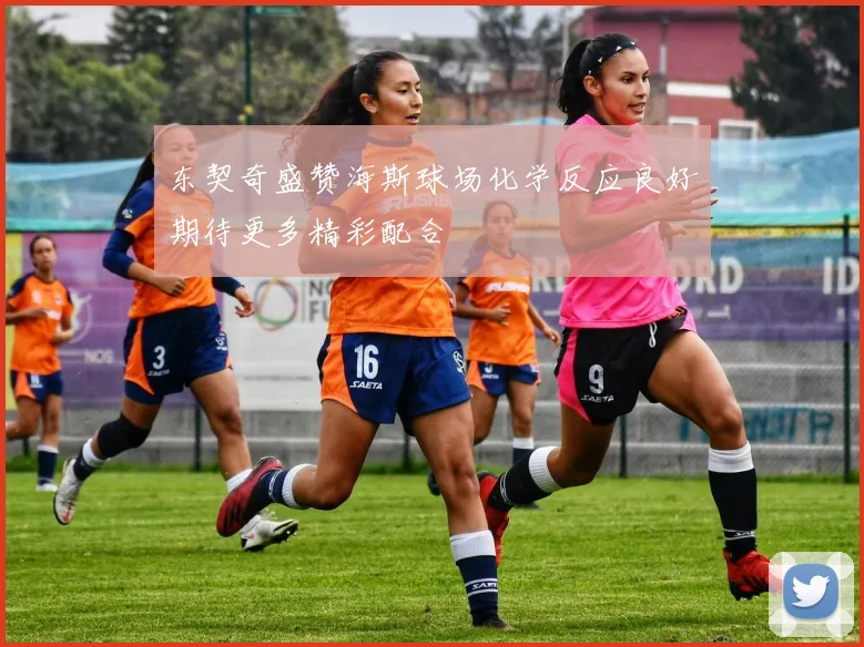 东契奇盛赞海斯球场化学反应良好期待更多精彩配合